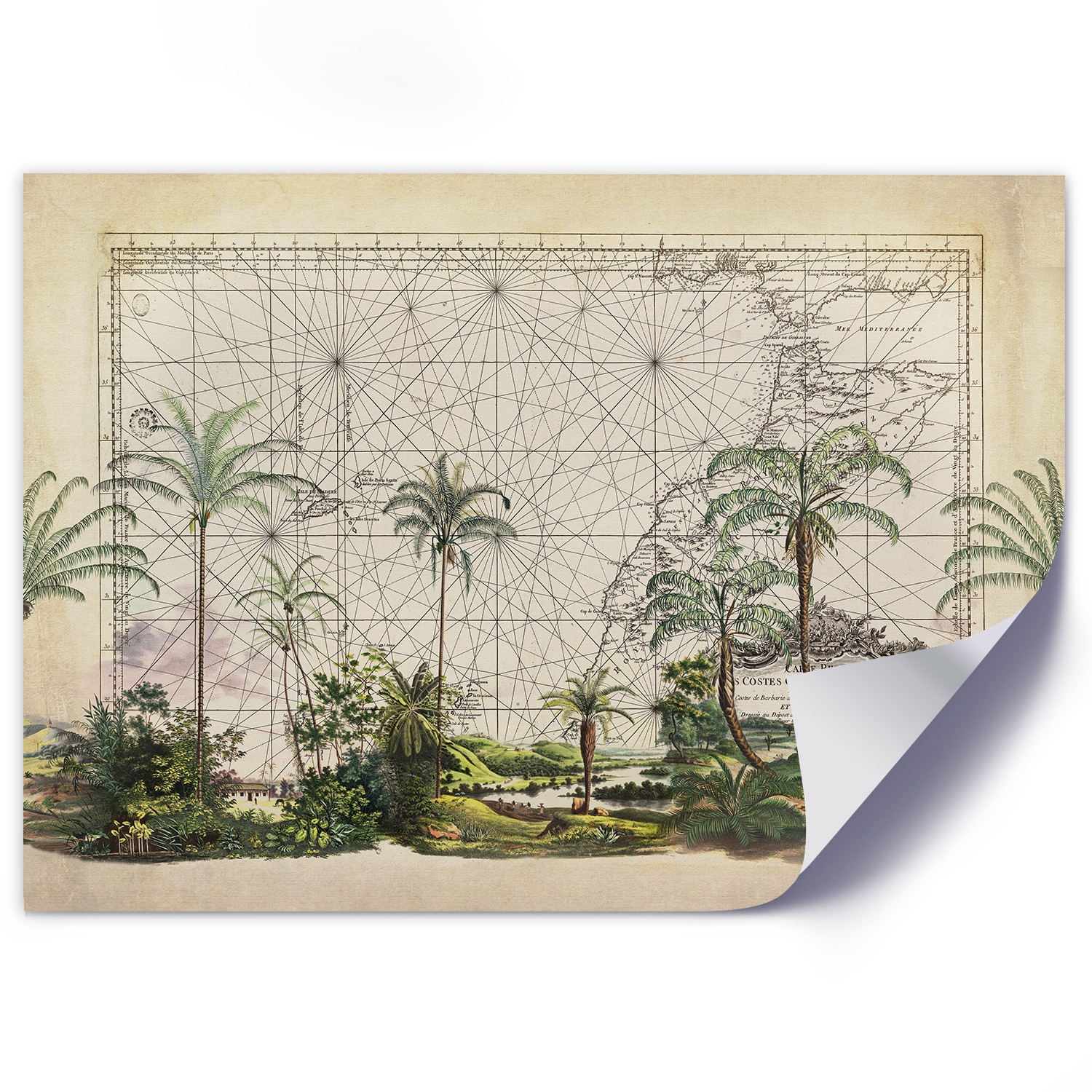 Historical map and tropical plants