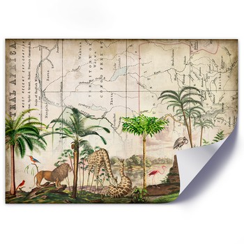 Historical map and tropical plants and animals
