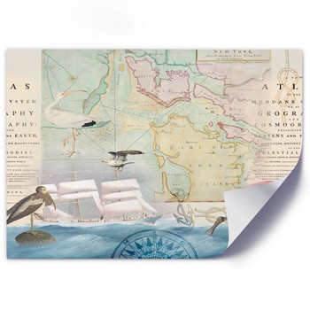 Old map and sea birds