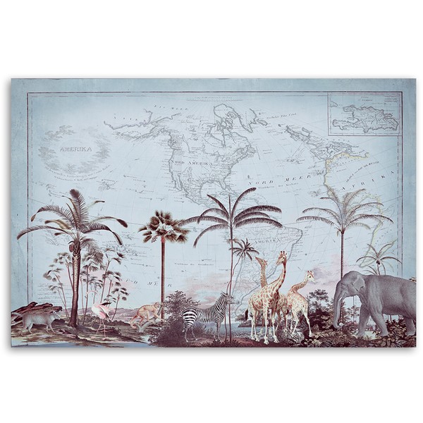 African landscape palm trees map