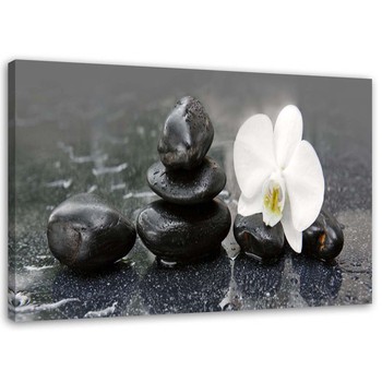 Zen Stones and Orchid