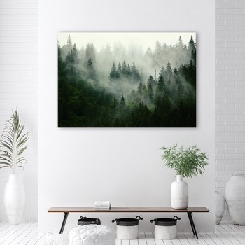 Forest in the fog