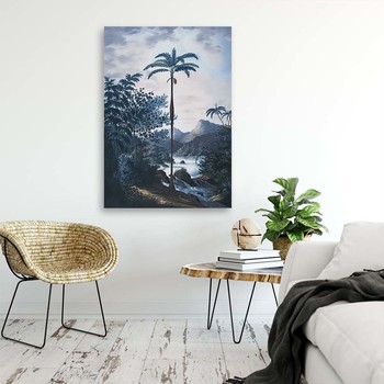 Palm tree in the jungle - Andrea Haase