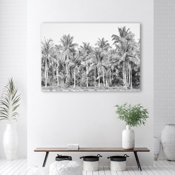 Grey jungle palms
