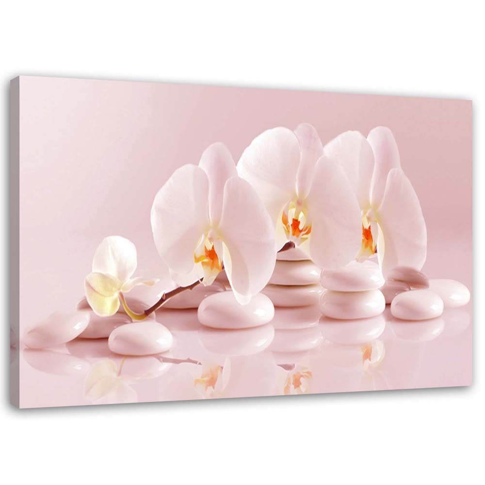 Zen orchids in powder pink