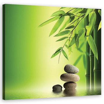 Zen Bamboo Stones Plants