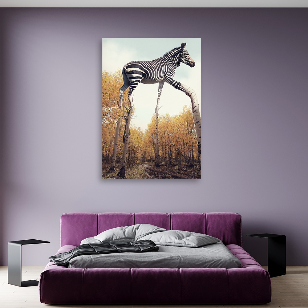 Zebra with birch legs - Patrykand