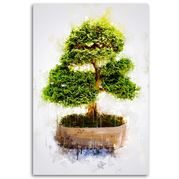 Bonsai tree plant - Cornel Vlad