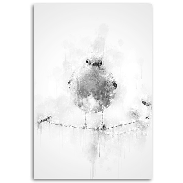 Black and white bird on the branch - Cornel Vlad