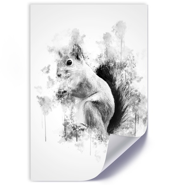 Black and white squirrel - Cornel Vlad