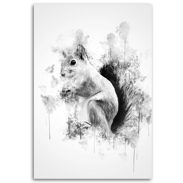 Black and white squirrel - Cornel Vlad