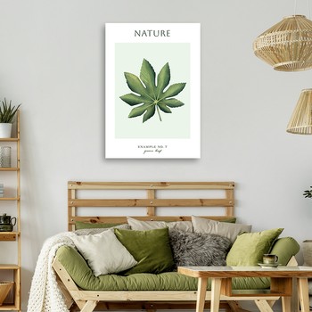 Green leaf - Nature