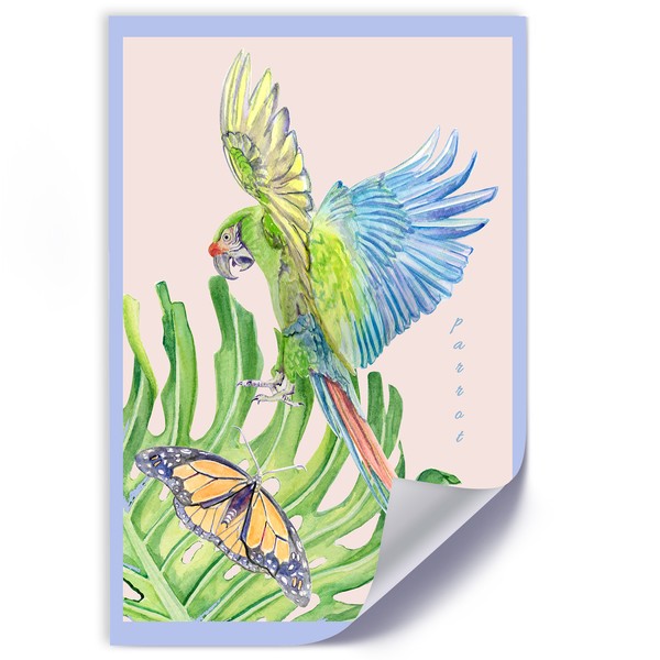 Colorful parrot - Marta Horodniczy