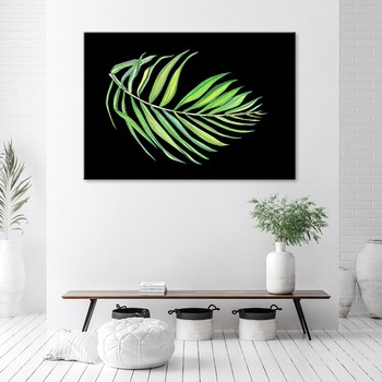 Palm leaf on black background - Marta Horodniczy