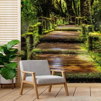 Bridge in a green forest