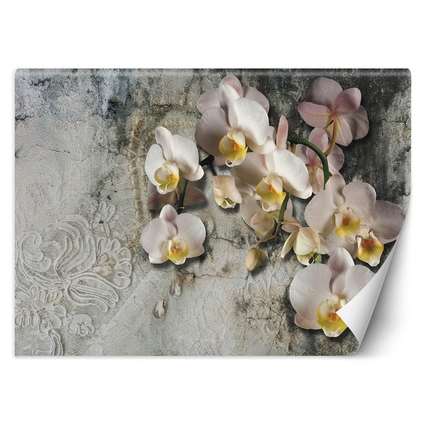 Blooming Orchid Flowers Wall