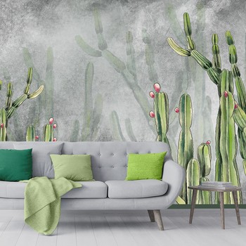 Cactus Flowers Plants Concrete Wall